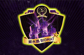 Richway Biomat 紫水晶生物治疗床垫
